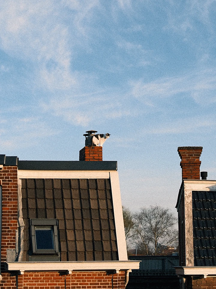 Kat zet af naast een schoorsteen